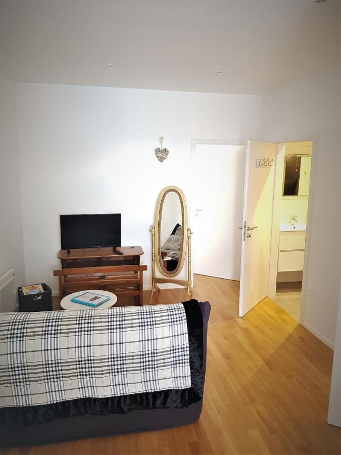 Au Gre De L'Ill 'L'Ill' Apartment Horbourg Ngoại thất bức ảnh