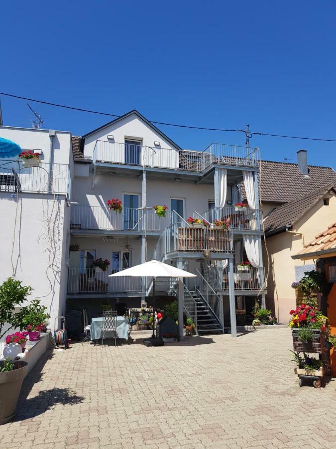 Au Gre De L'Ill 'L'Ill' Apartment Horbourg Ngoại thất bức ảnh