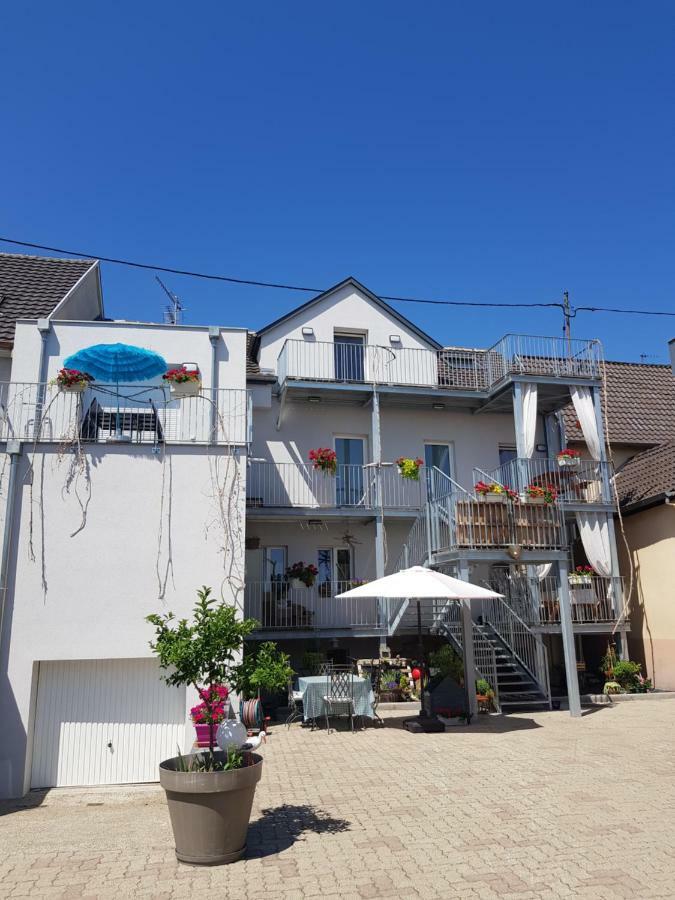 Au Gre De L'Ill 'L'Ill' Apartment Horbourg Ngoại thất bức ảnh